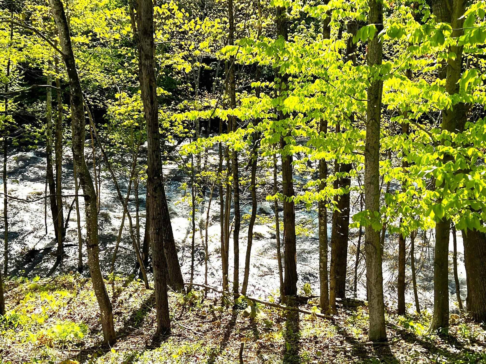 Salisbury, NH 03268,516 W Salisbury RD