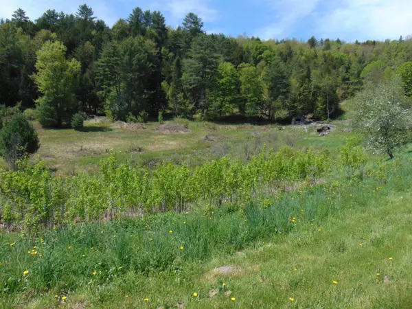 St. Johnsbury, VT 05838,0 U.S. Route 2