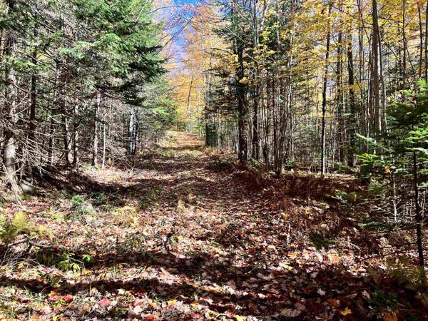 - Willoughby Lake RD #C, Barton, VT 05822