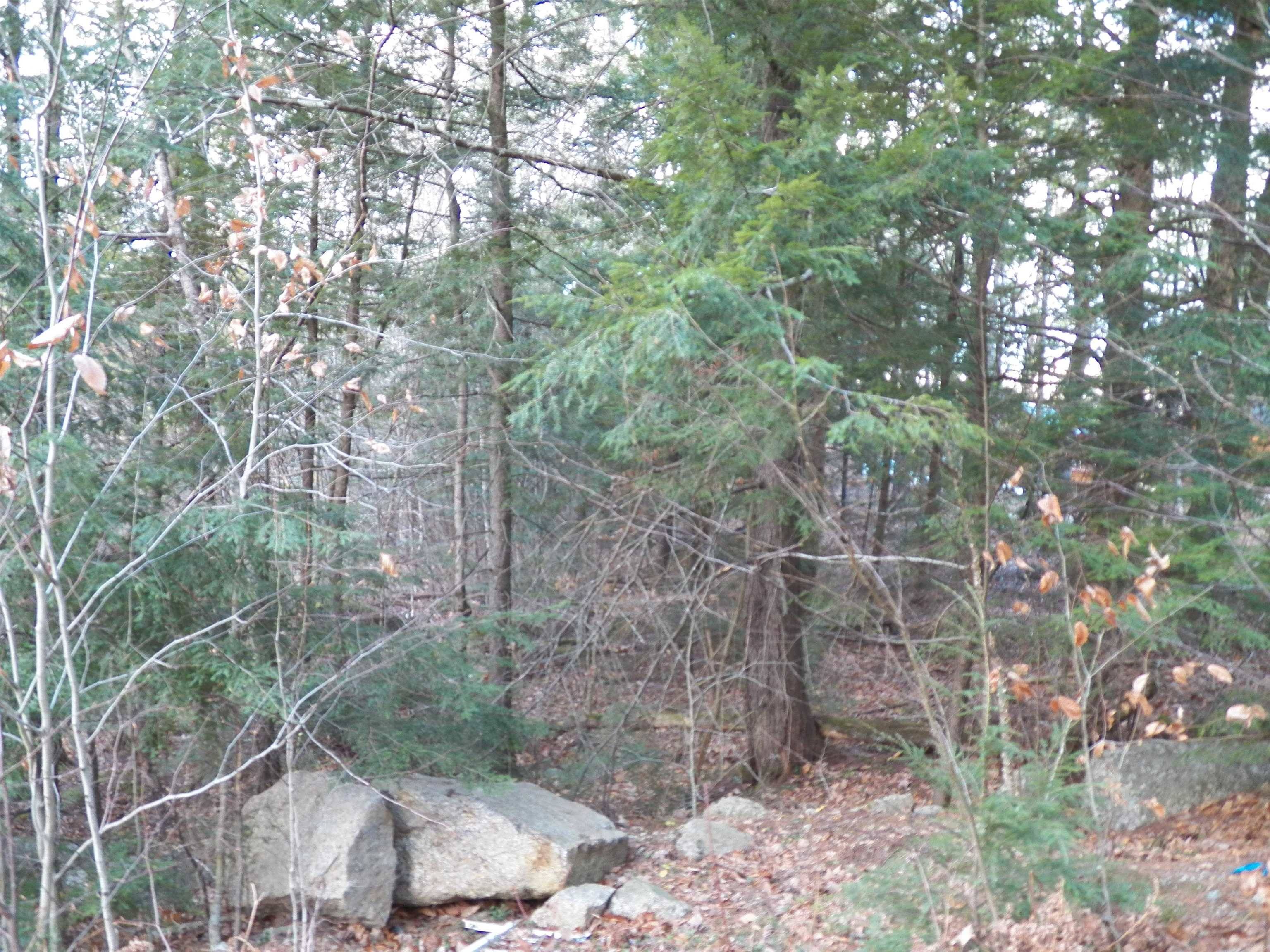 Hillsborough, NH 03244,014-102 Deerpoint DR