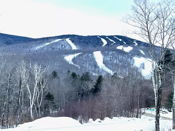 Gold Medal CIR #Lot #1, Stratton, VT 05155
