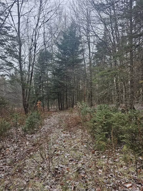 Dummer, NH 03588,461 Hill RD #Map R14, Lot 4  ( land only)