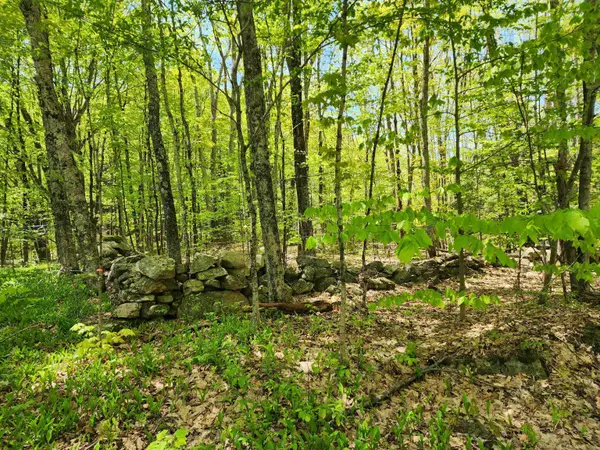000 South Village RD #R13-13, Westmoreland, NH 03467