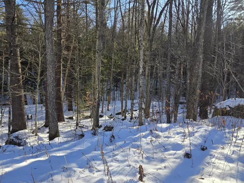 55 Lakeview HTS, Alexandria, NH 03222