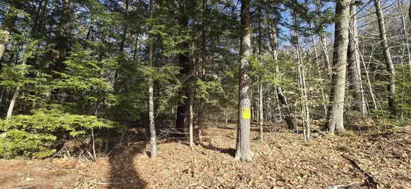 Alton, NH 03809,Lot 11C-1 NH Route 140