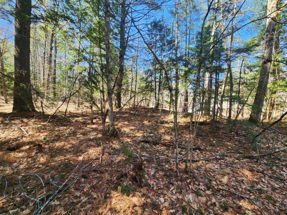 Hillsborough, NH 03244,1 West Main ST #233-1