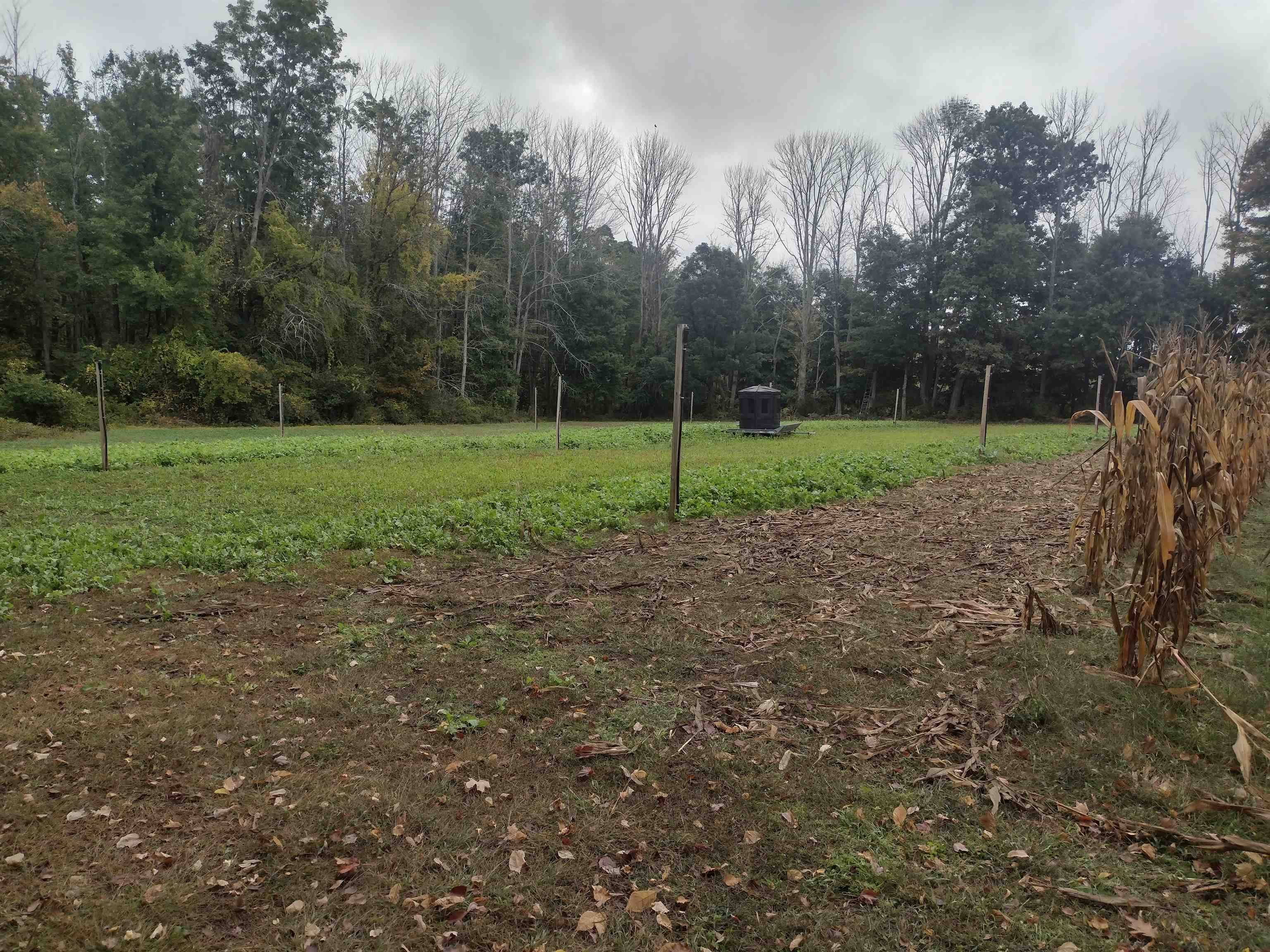 Rochester, NH 03868,632 Lot 12-1 Salmon Falls RD