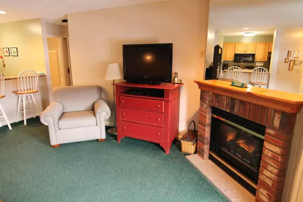 Woodstock, NH 03262,160 Deer Park DR #146C