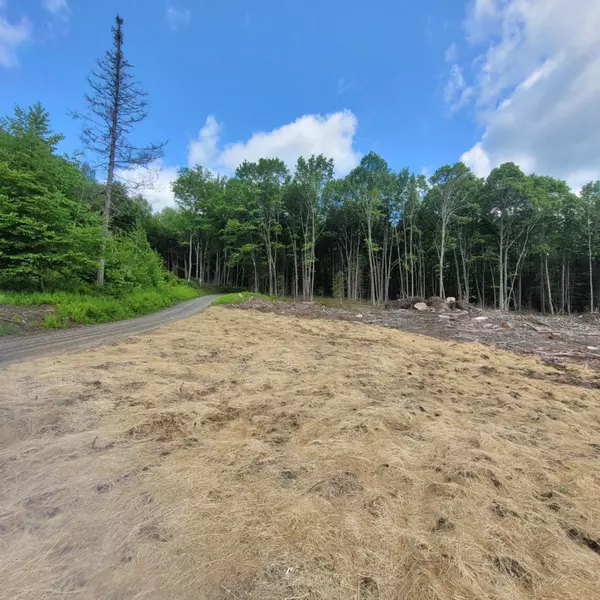 Newark, VT 05871,000 Kinney Hill RD