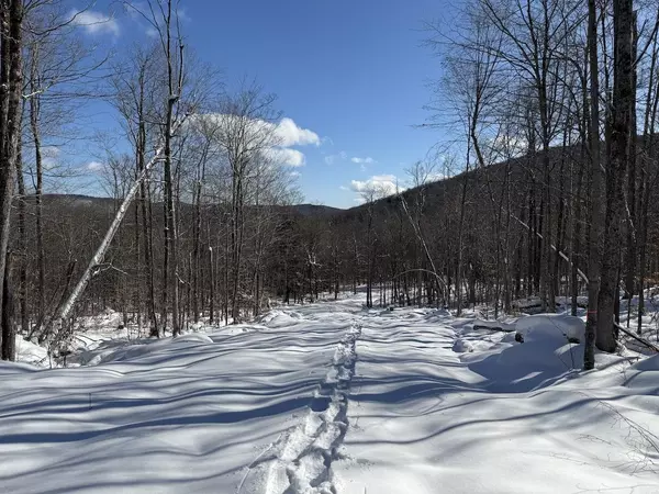 Plymouth, VT 05056,S-1c Great Roaring Brook RD #S-1c