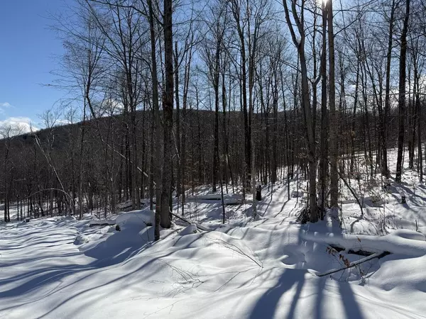 Plymouth, VT 05056,S-1d Great Roaring Brook RD #S-1d
