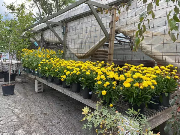 Berlin, VT 05641,535 US Route 302