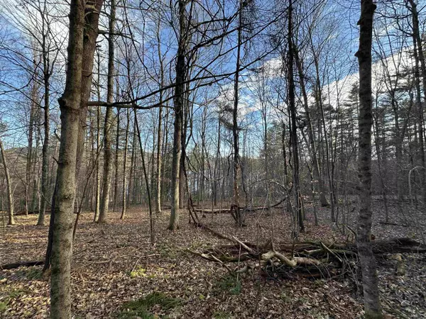 Poultney, VT 05764,000 West Lake RD #Lot Five