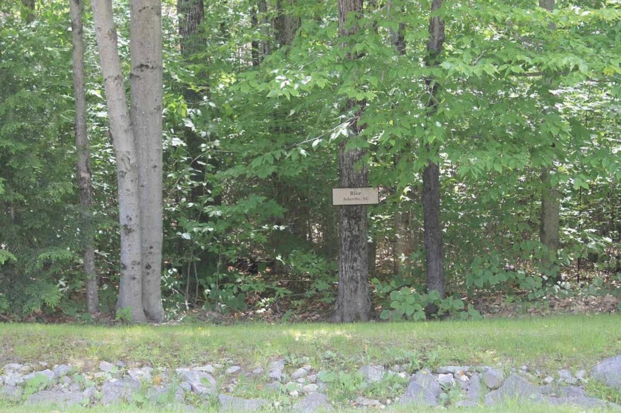 139 South Peak RD, Lincoln, NH 03251