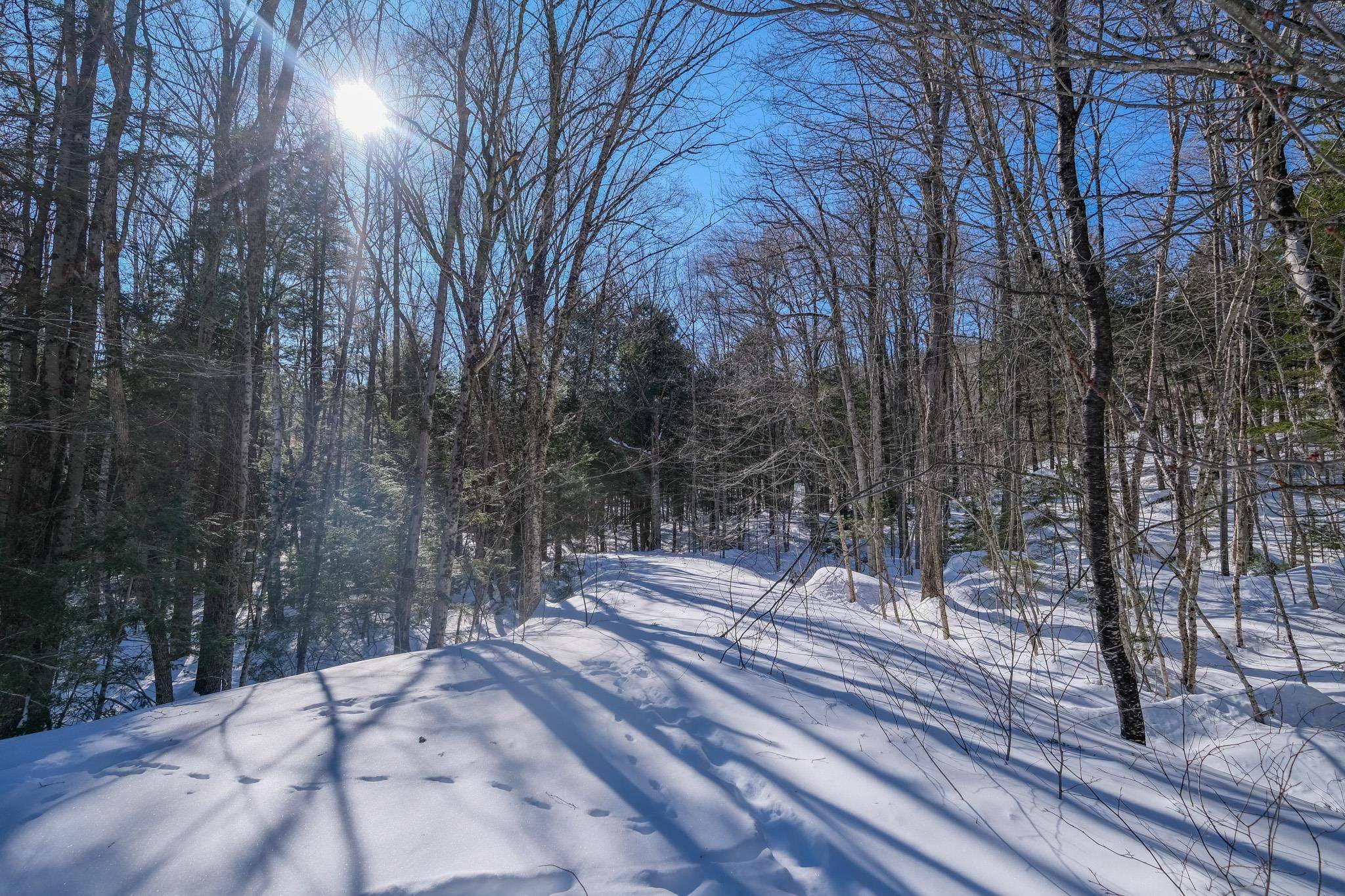 Ludlow, VT 05149,0 Woods Road West