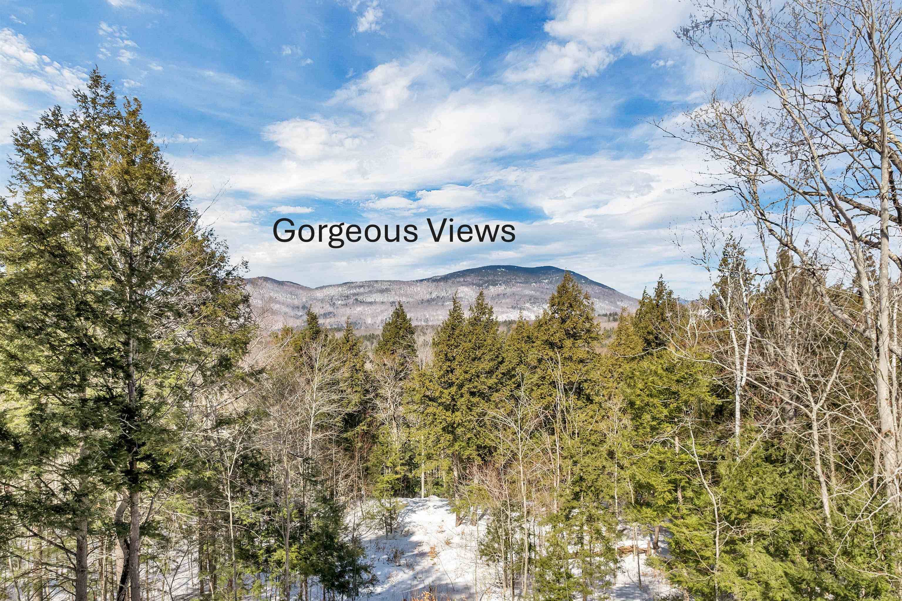 Sandwich, NH 03227,00 Buzzell Ridge RD #10