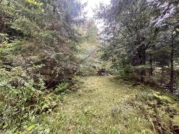 Grafton, VT 05146,667 Hinkley Brook RD