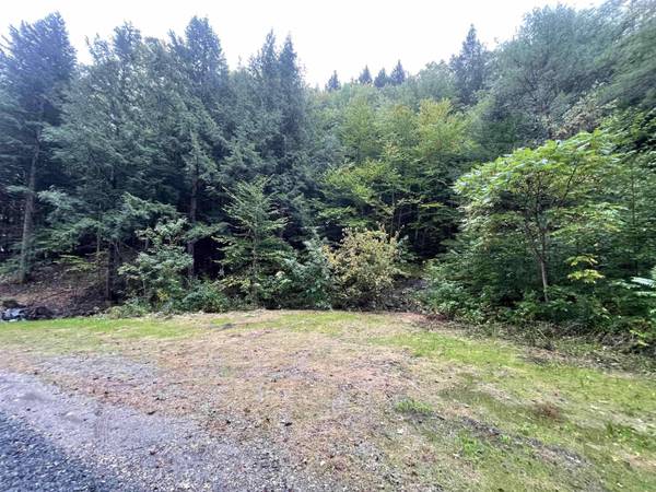 667 Hinkley Brook RD, Grafton, VT 05146