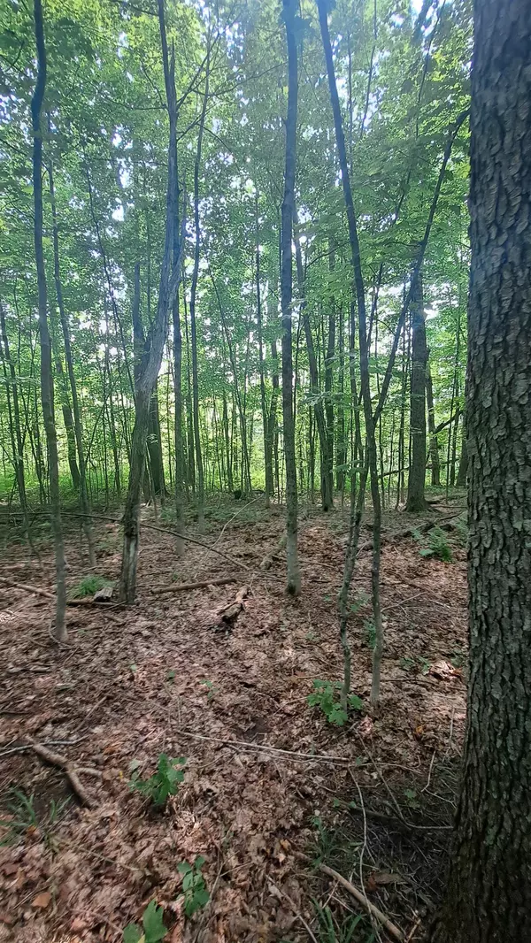 Dover, VT 05356,44 Antler LOOP #10