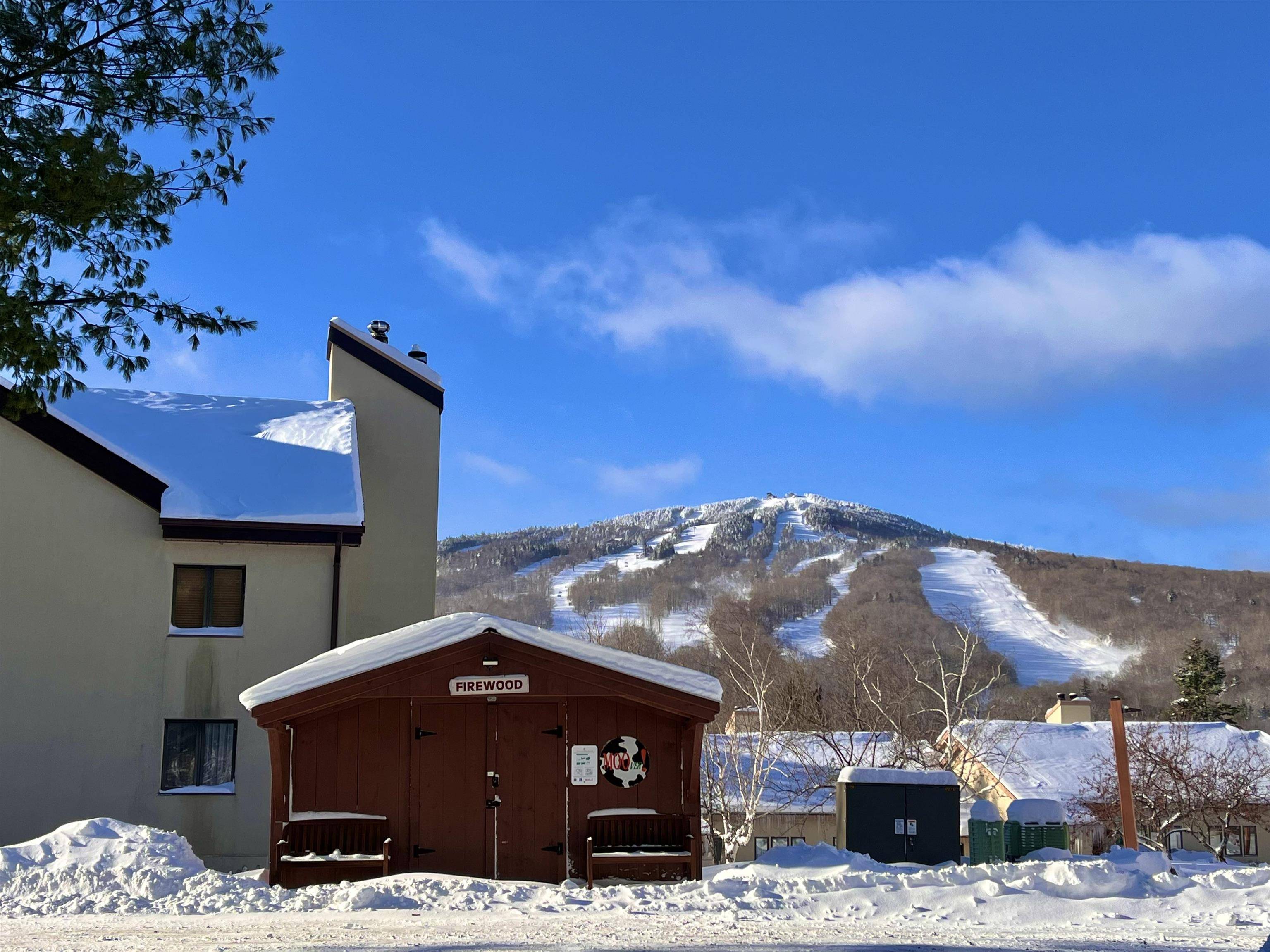 Dover, VT 05356,5G Mountain Village WAY #127
