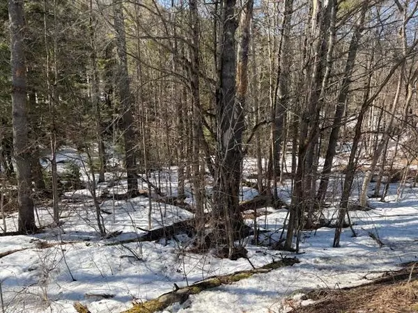 Stockbridge, VT 05772,0 Route 107