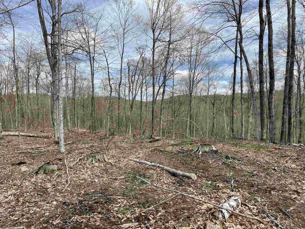 0 Grandview RD, Williamstown, VT 05079