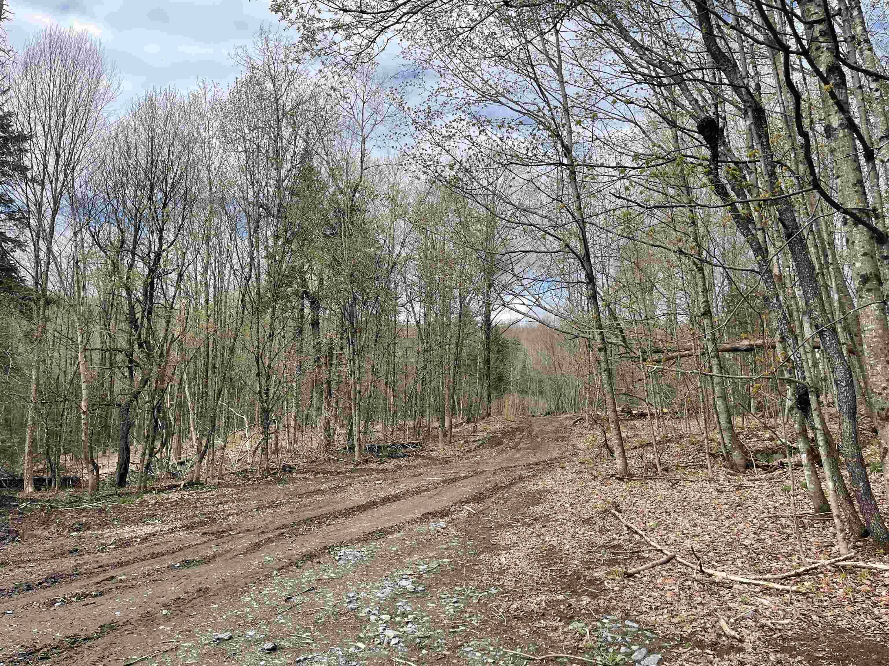 Williamstown, VT 05079,0 Grandview RD
