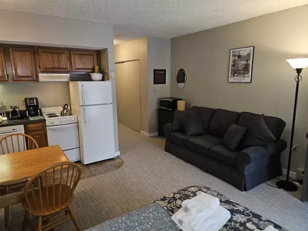 Lincoln, NH 03251,36 Lodge RD #D115