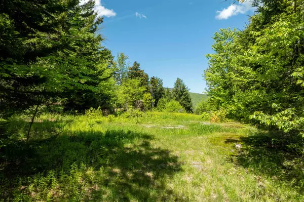 Ludlow, VT 05149,0 Turtle Hill RD #Lot #2