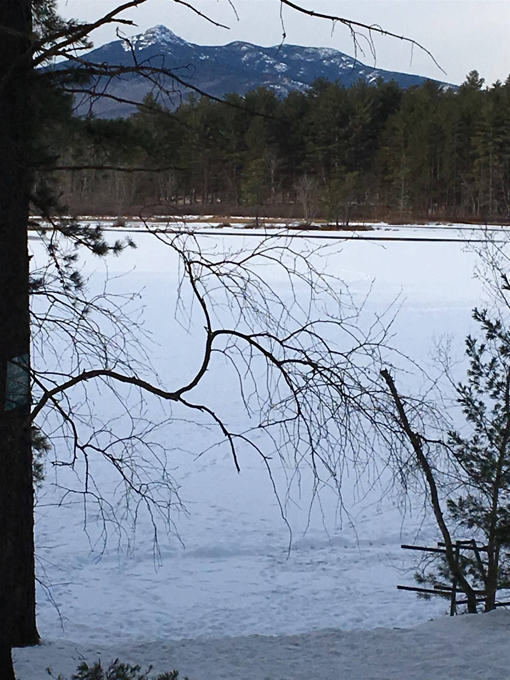 Tamworth, NH 03817,144 Mason DR