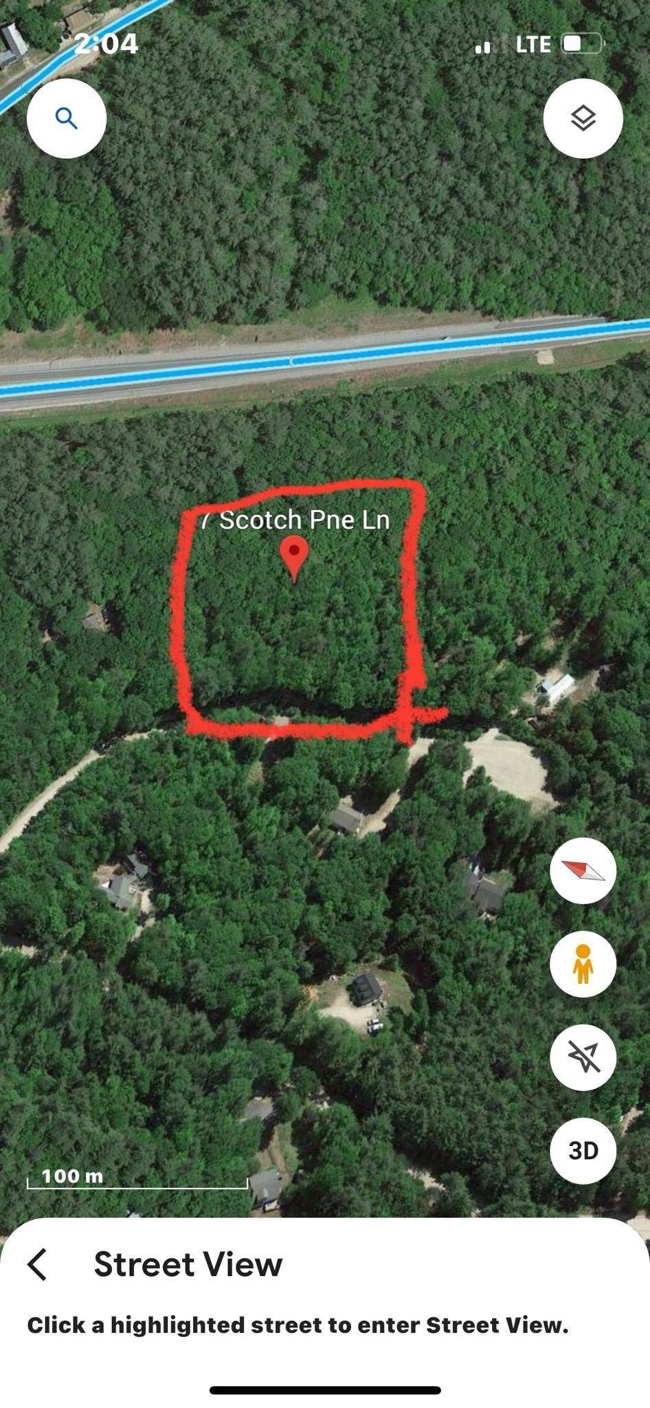 Ossipee, NH 03814,7 Scotch Pine LN