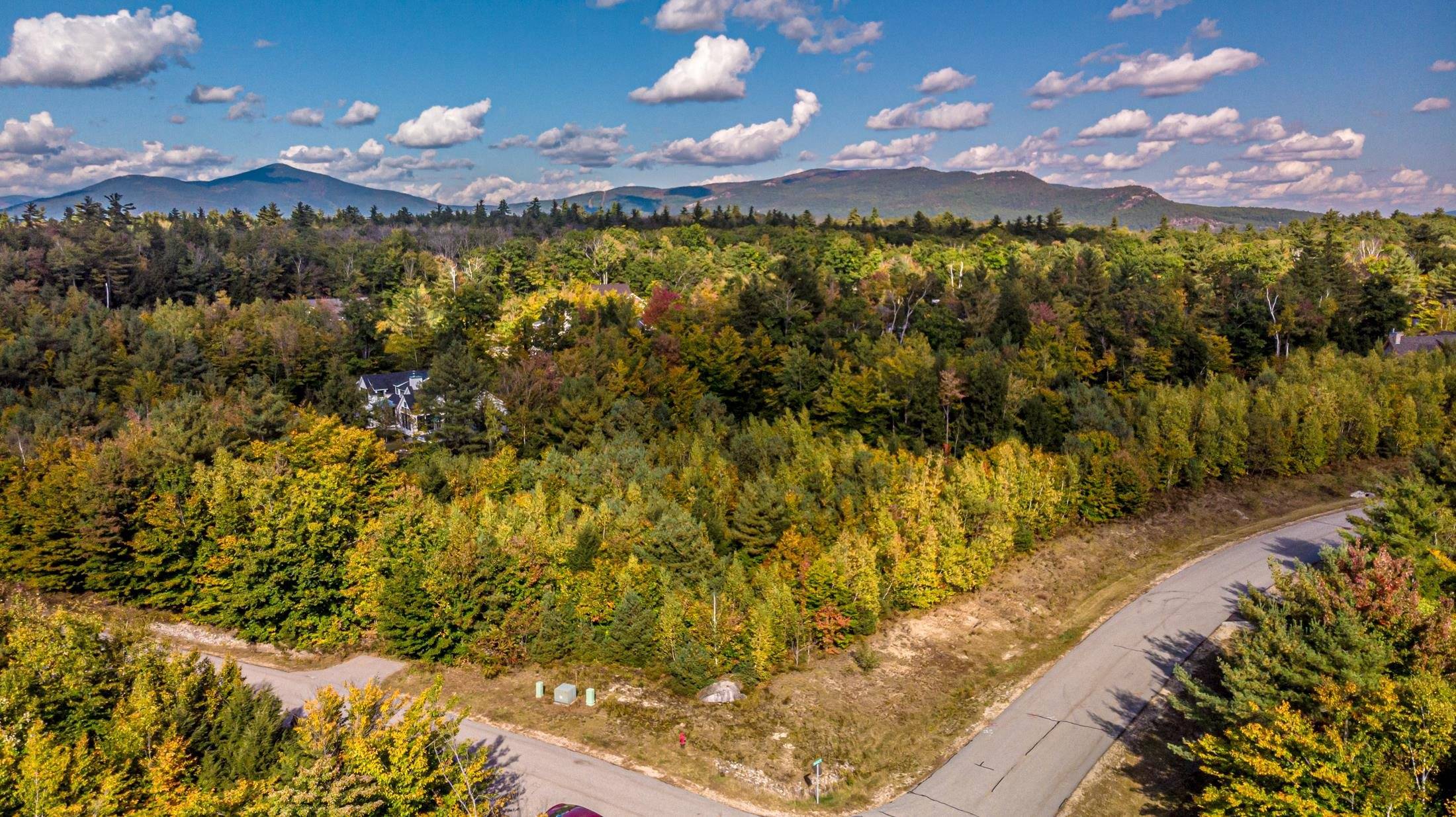 Conway, NH 03818,00 Grandview RD #Lot #98 on tree