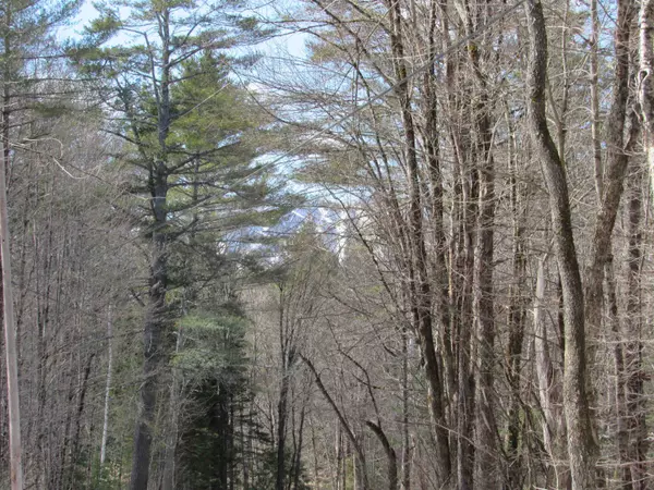 Londonderry, VT 05148,1192 Haven Hill RD #Lot A1