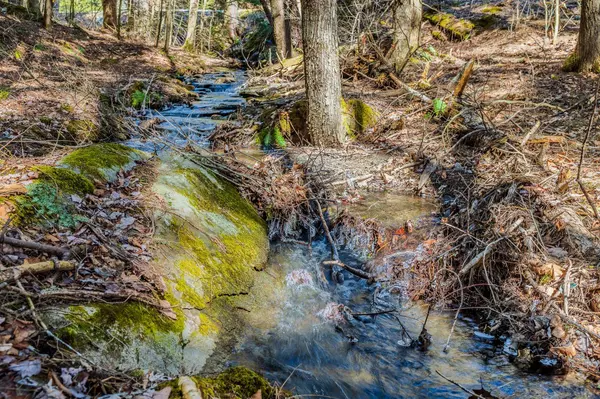 Hartford, VT 05059,5209 5211 Willard RD #5209 -5211