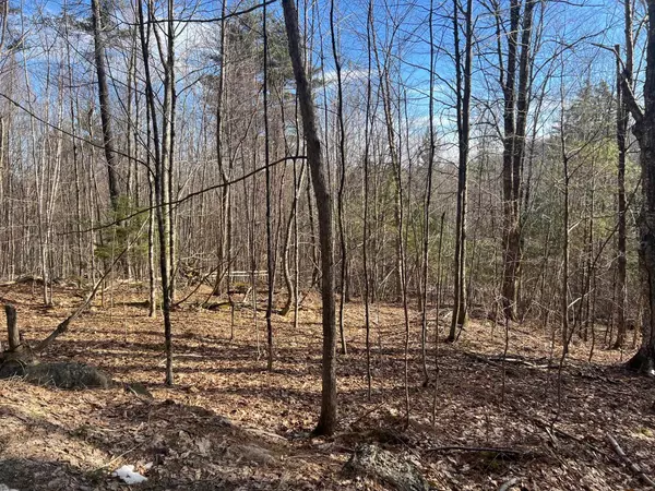 Straits RD #R6-1, New Hampton, NH 03256