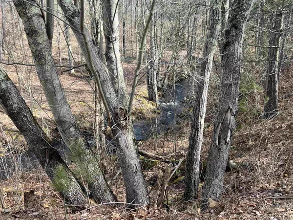 Winchester, NH 03470,7 Lake Shore DR