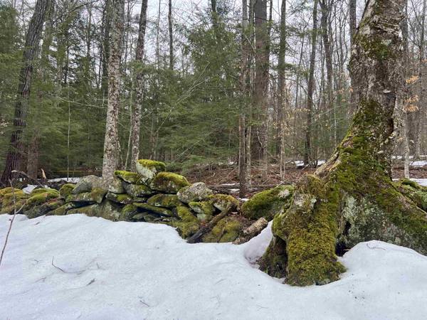 355 Bemis Hill RD, Westminster, VT 05158