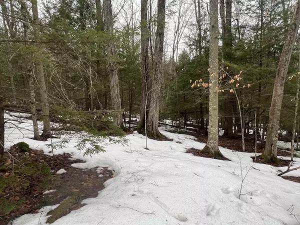 Westminster, VT 05158,355 Bemis Hill RD