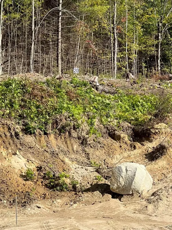20 Hawthorne RD #Sub Div Plan Lot 15, Ossipee, NH 03864