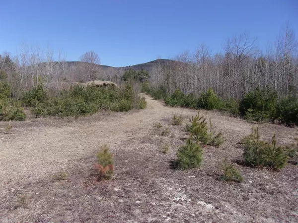 Bath, NH 03740,Fenn Way CIR #4