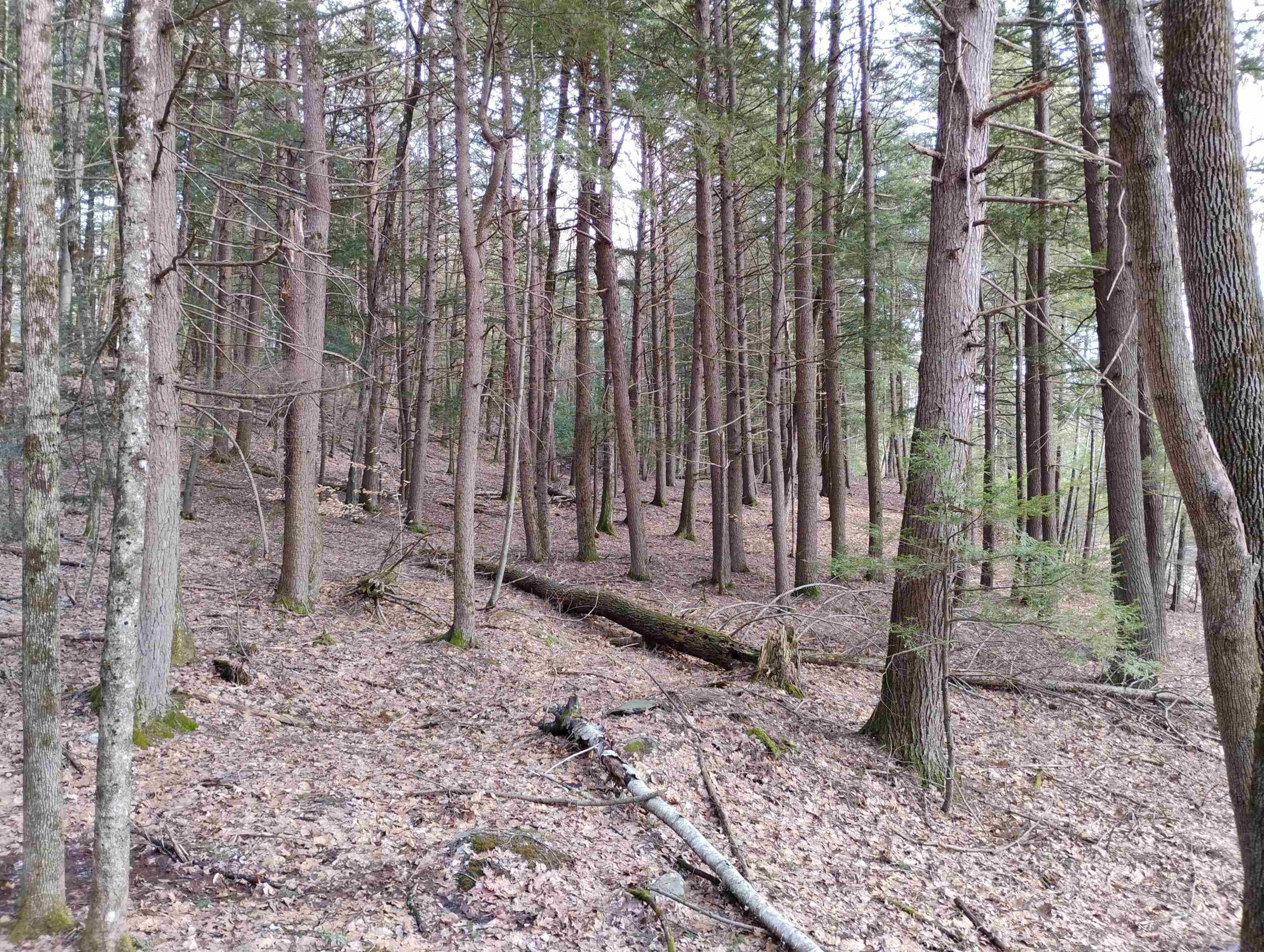 Putney, VT 05346,0 Bellows Falls RD