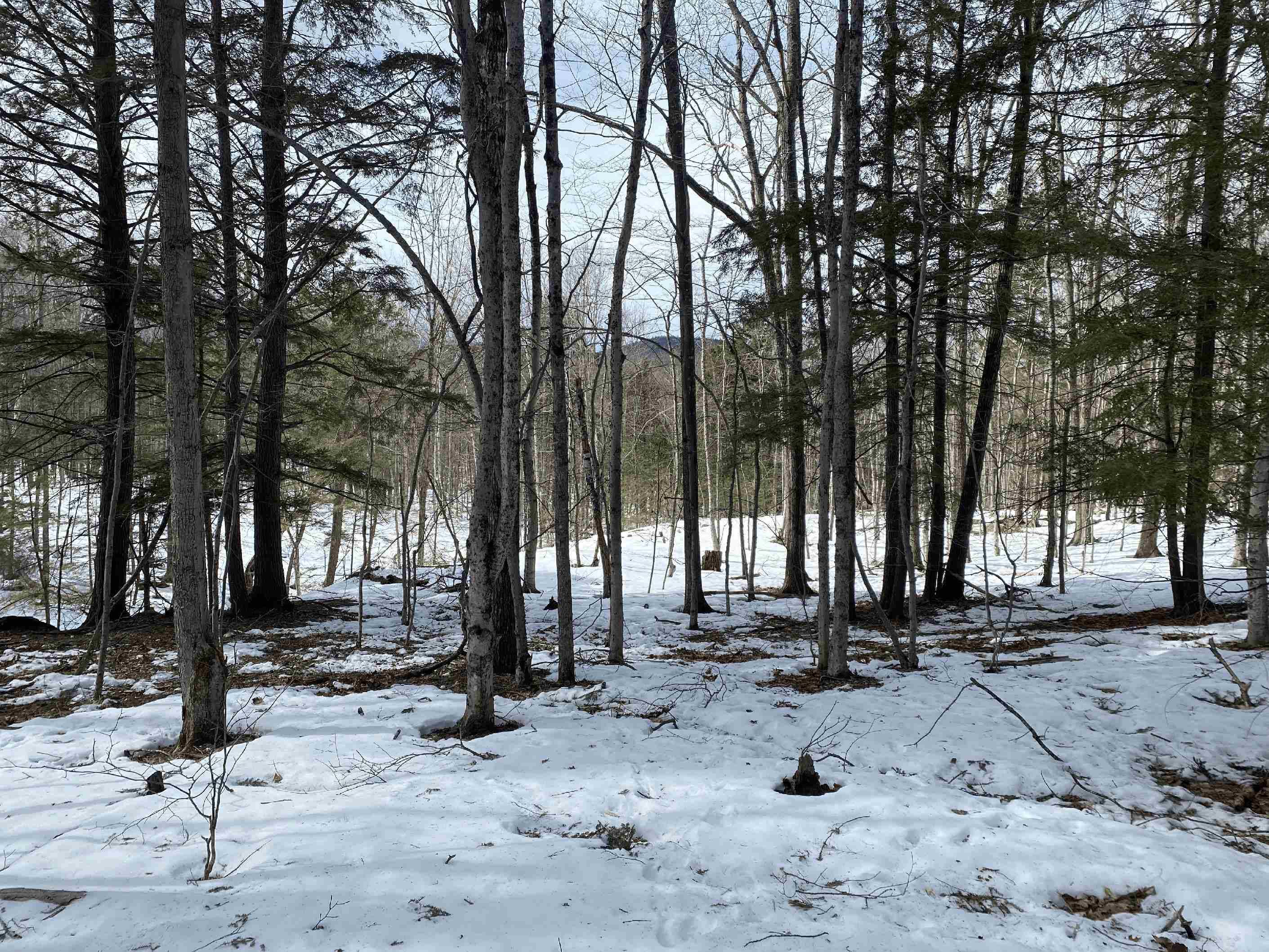New Durham, NH 03855,000 Innsbruck RD