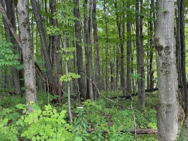 Montgomery, VT 05470,00 Westhill RD