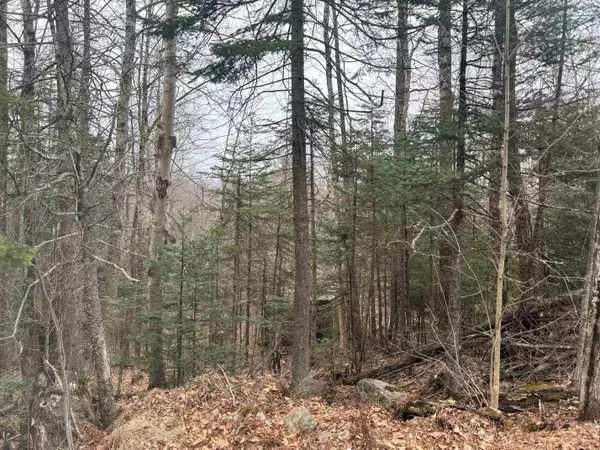 3225 George Hill RD, Springfield, NH 03284