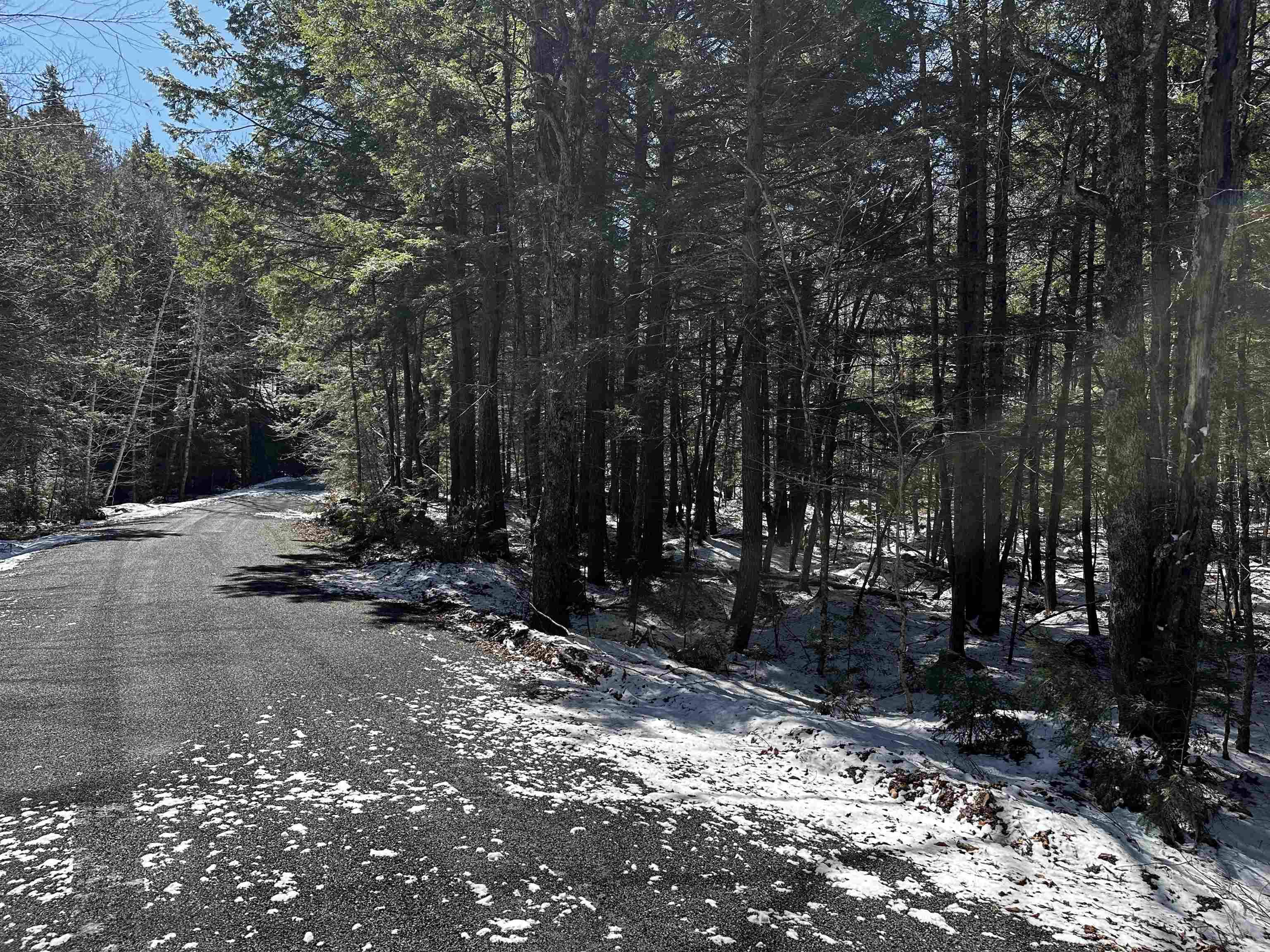 119 Pauls PL #119, Enfield, NH 03748