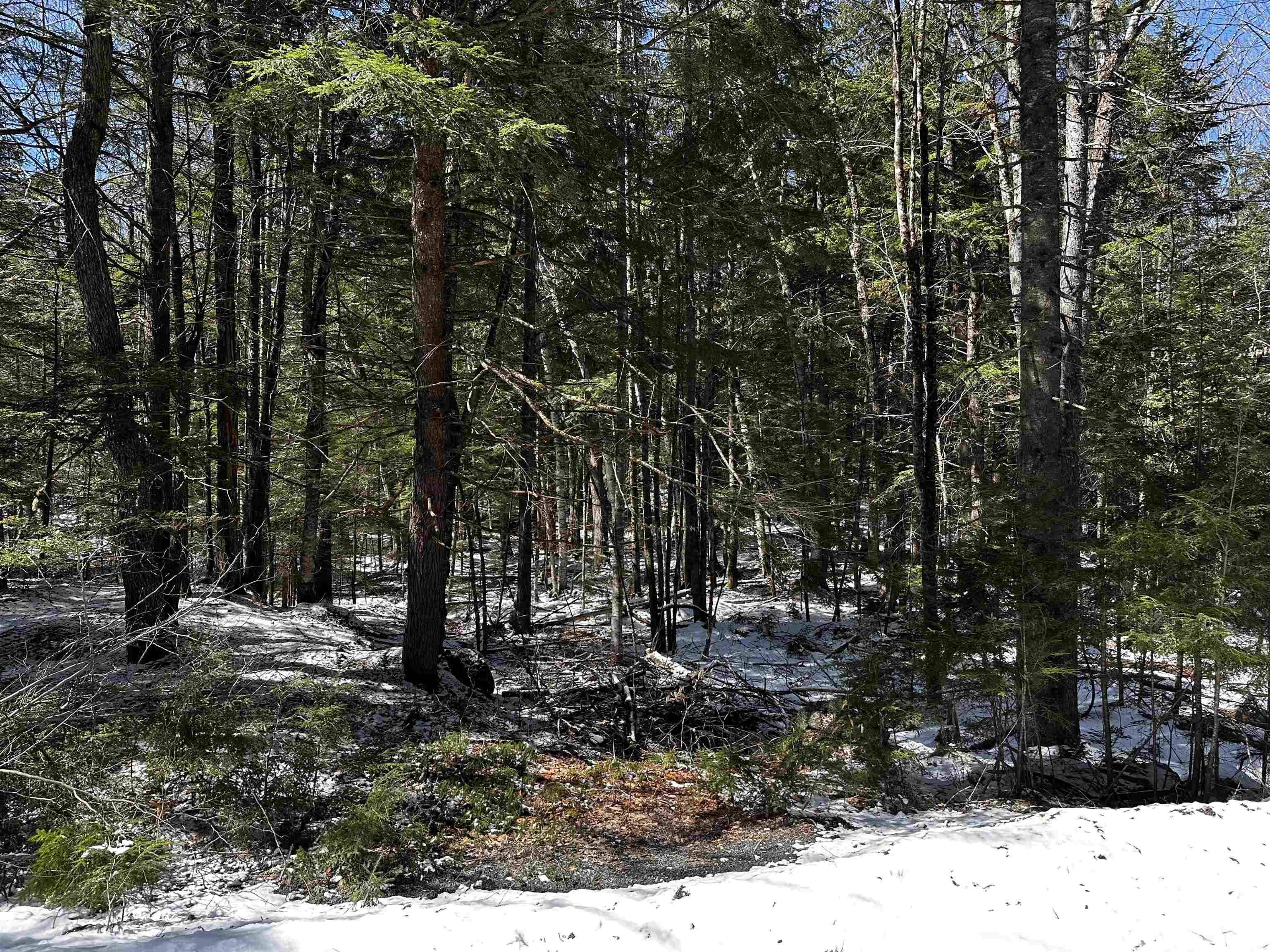 Enfield, NH 03748,118 Pauls PL #118
