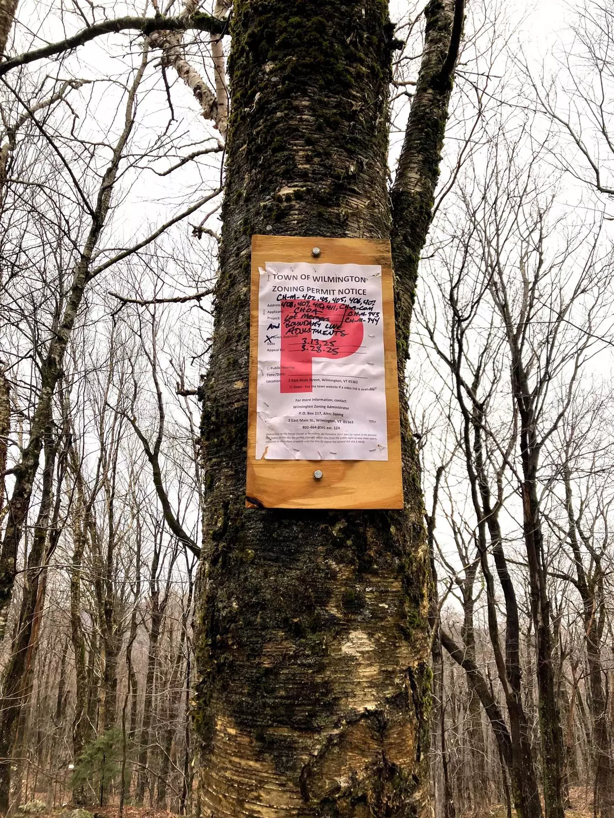 Wilmington, VT 05363,408 Fox Mt. RD #M408 & M409