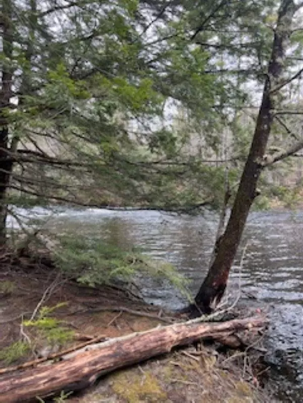 Webster, NH 03303,11-6 Clothespin Bridge RD