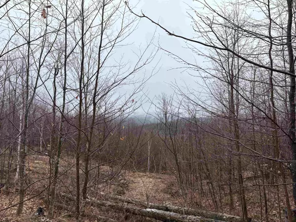 Newport Town, VT 05857,2730 Farrar RD #5