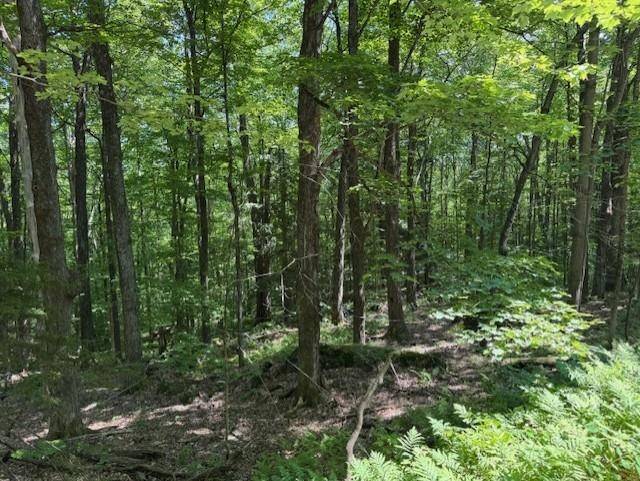 Montgomery, VT 05470,00 Westhill RD